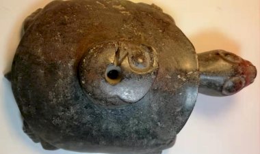 A047 紅山文化 大型玉龜背玉龍玦