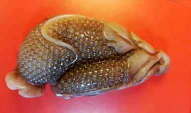 I011 唐代 子母仙果梅花玉飾